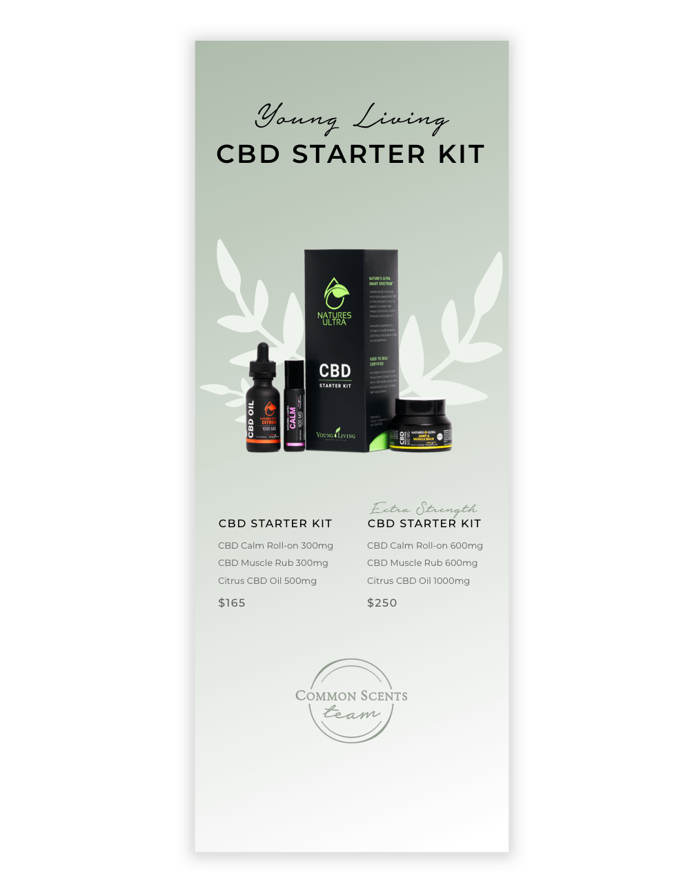 You are currently viewing CBD Starter Kit Retractable Floor Banner